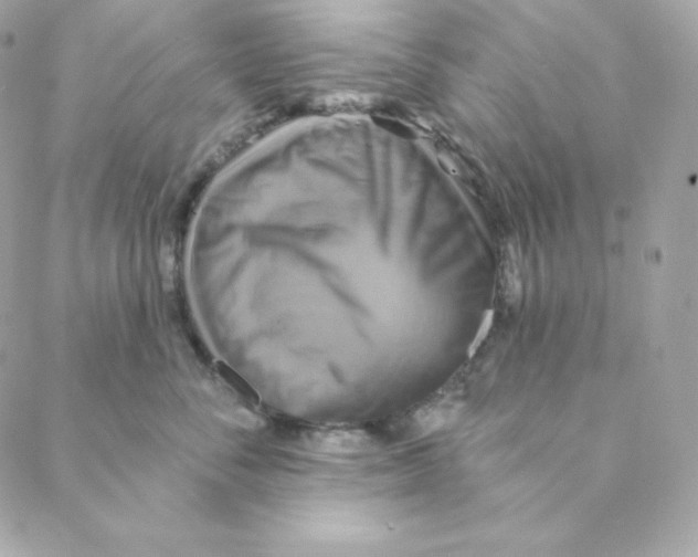 X0000088200716200706051232