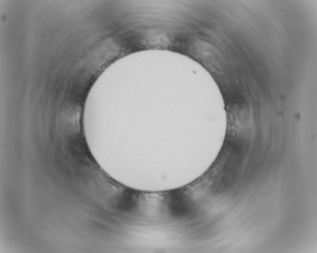 X0000088200717200706051232