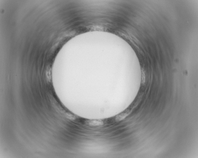 X0000088200718200706051232