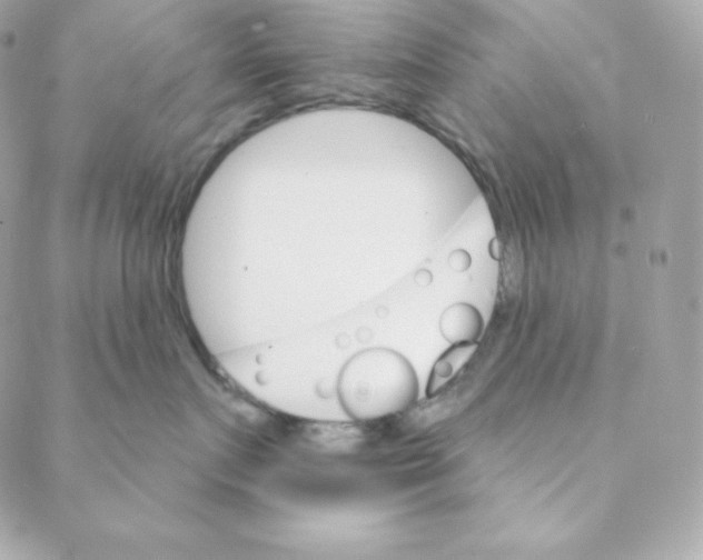 X0000088200719200706051232