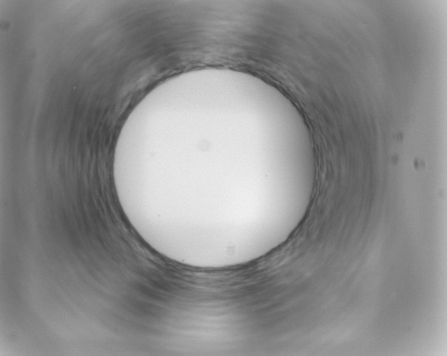 X0000088200720200706051232