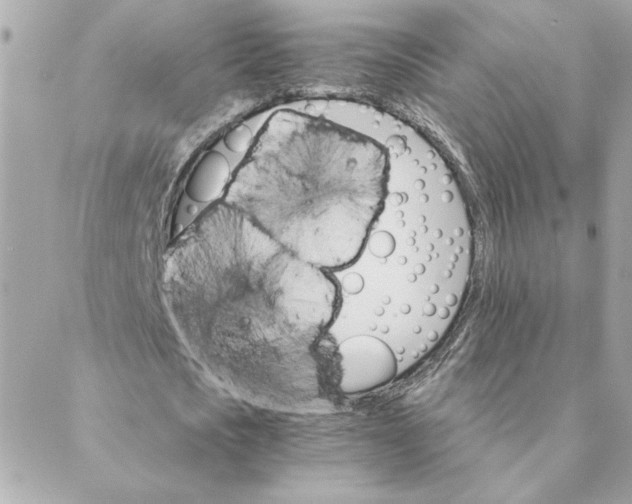 X0000088200721200706051231