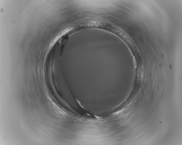 X0000088200722200706051231