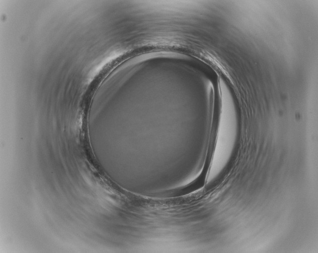 X0000088200723200706051231