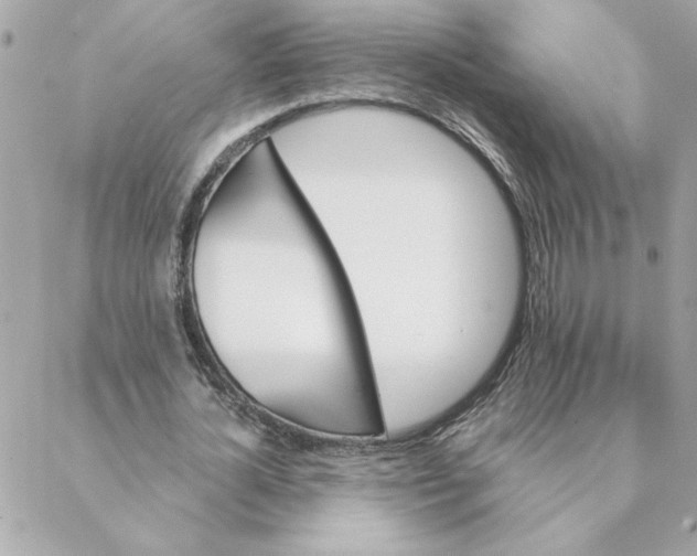 X0000088200724200706051231