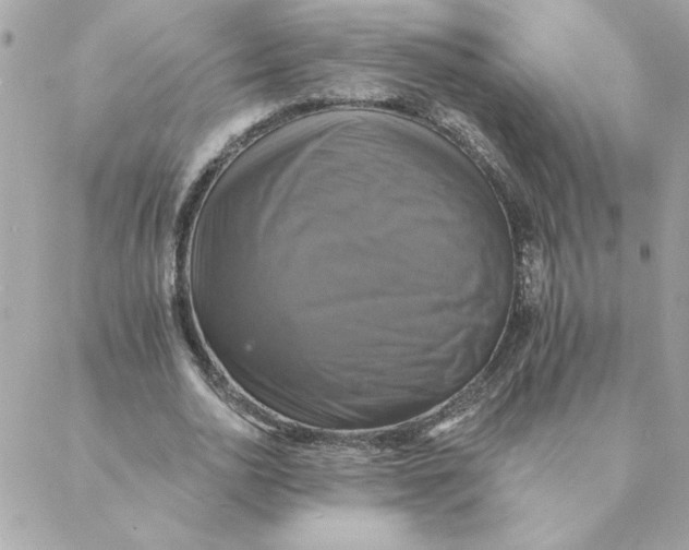 X0000088200726200706051231