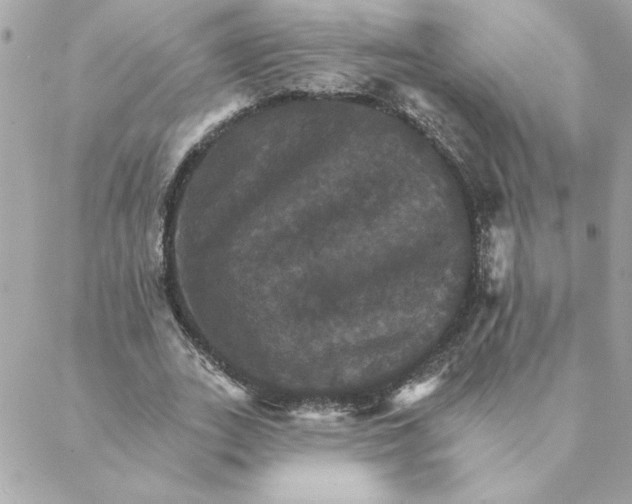 X0000088200727200706051231