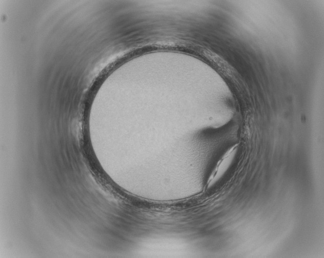 X0000088200728200706051231