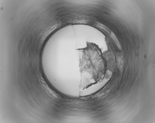 X0000088200729200706051231