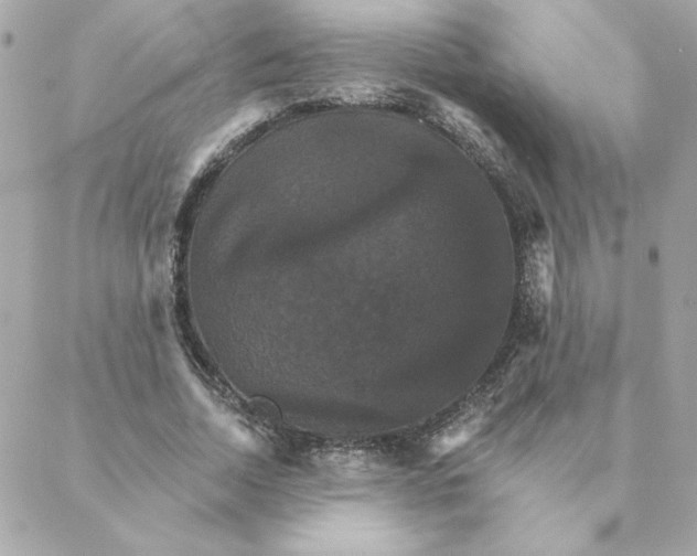 X0000088200730200706051231