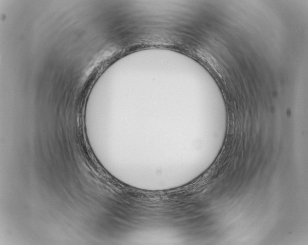 X0000088200731200706051231