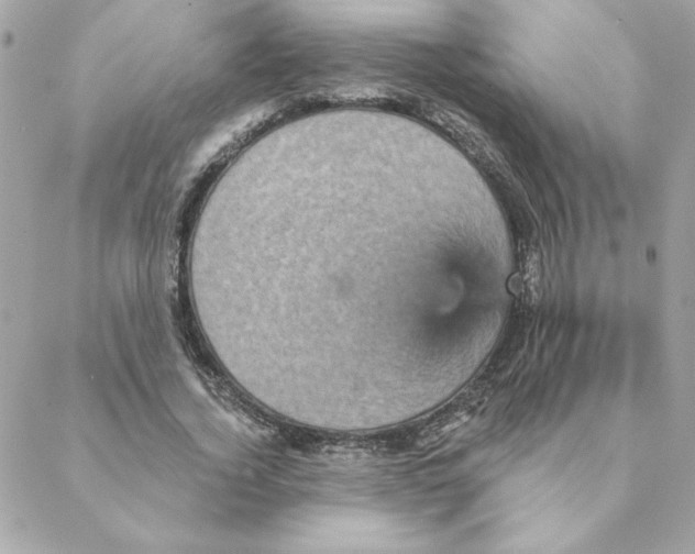 X0000088200732200706051231