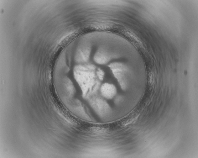 X0000088200733200706051231