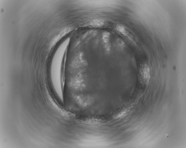 X0000088200734200706051231