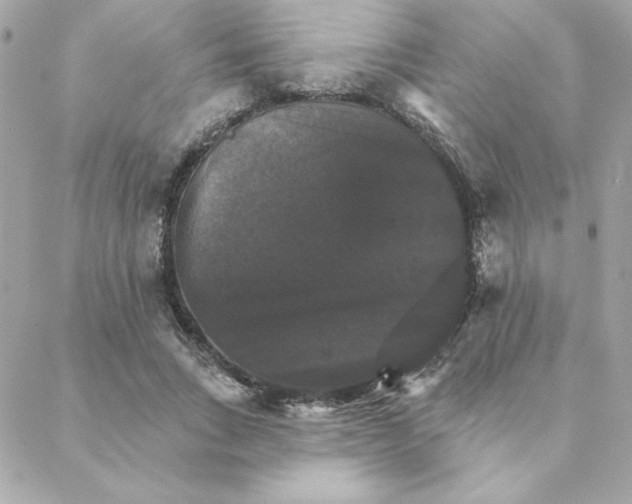 X0000088200735200706051231