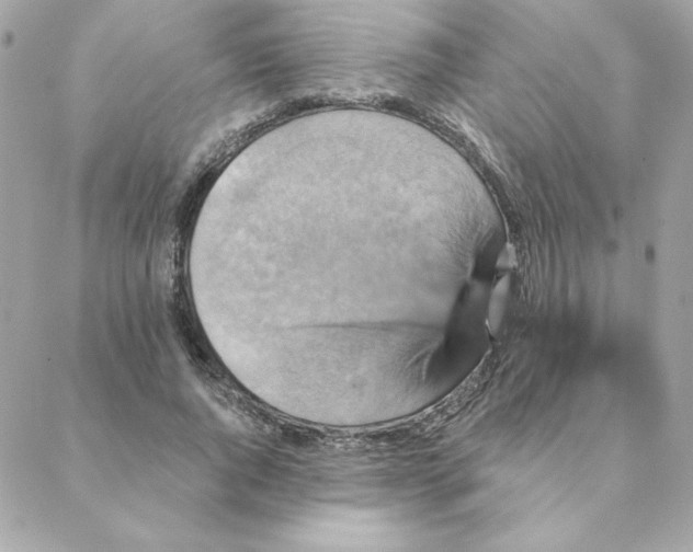 X0000088200736200706051231