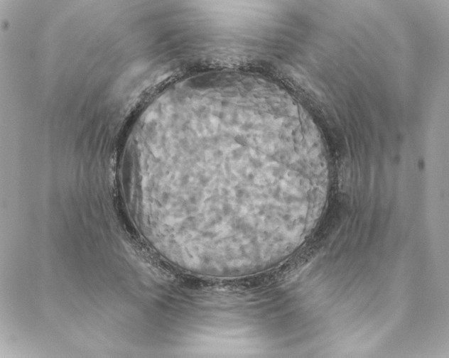 X0000088200737200706051231