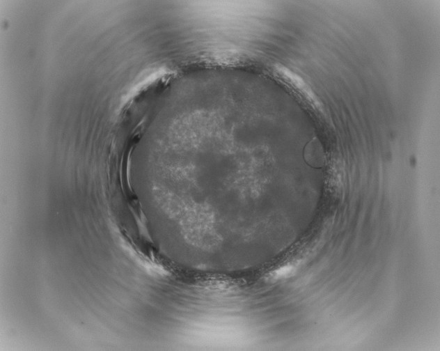 X0000088200738200706051231