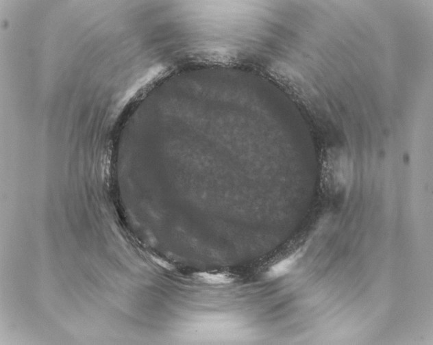 X0000088200739200706051231