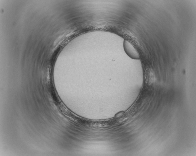 X0000088200740200706051231