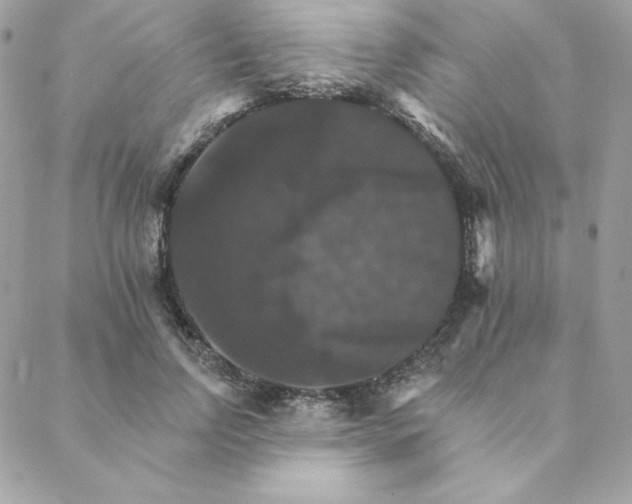 X0000088200742200706051231