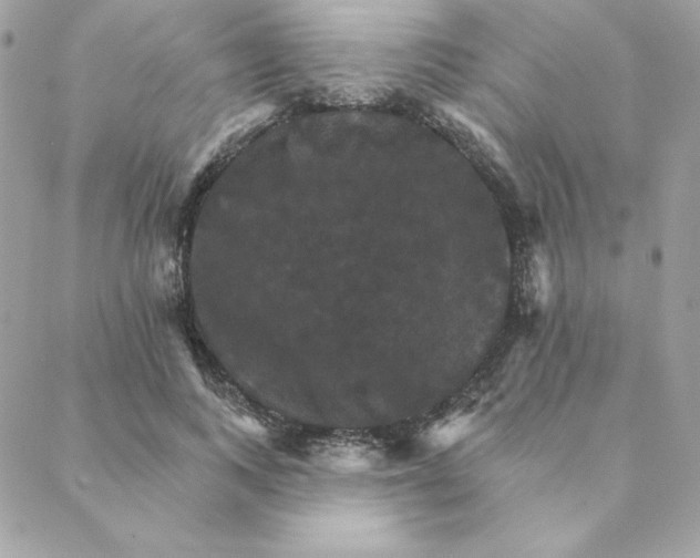 X0000088200743200706051231