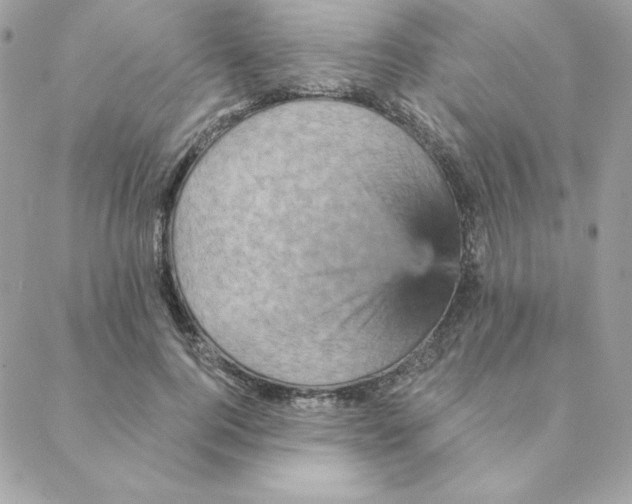 X0000088200744200706051231