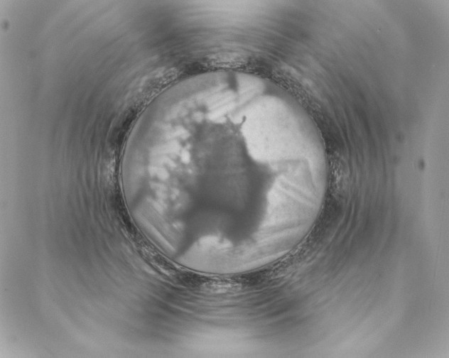 X0000088200745200706051231