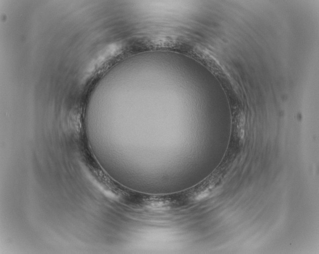 X0000088200746200706051231