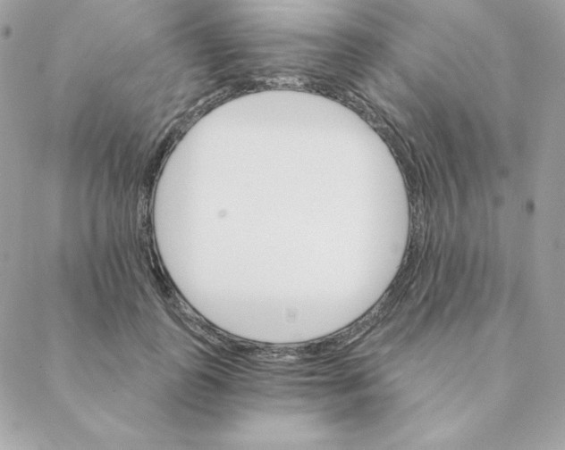 X0000088200747200706051231