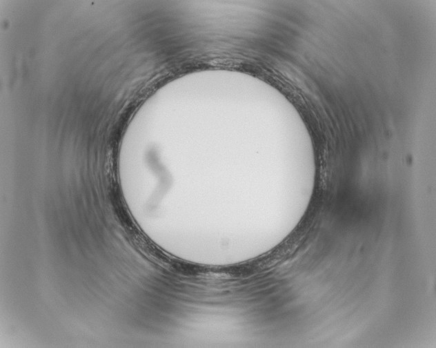 X0000088200748200706051231