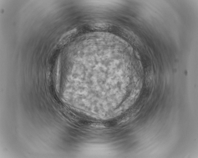 X0000088200749200706051231