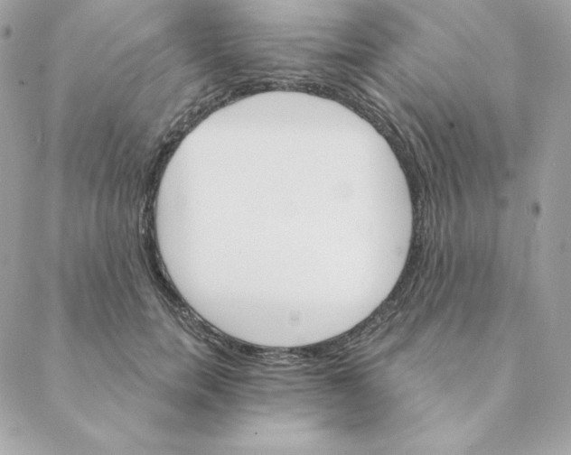 X0000088200750200706051231