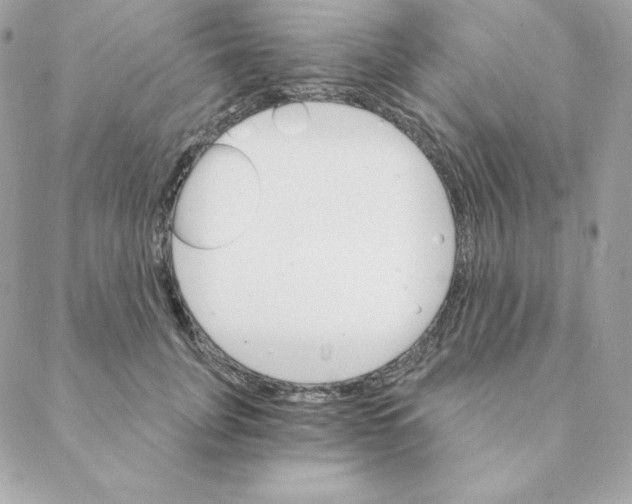 X0000088200751200706051231