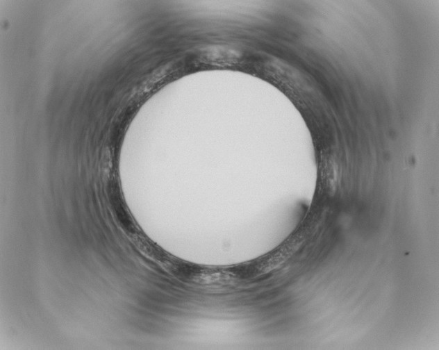 X0000088200752200706051231