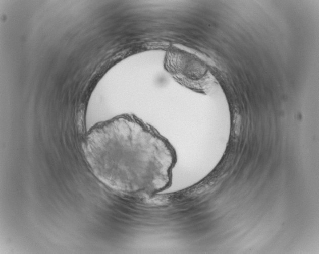 X0000088200753200706051231