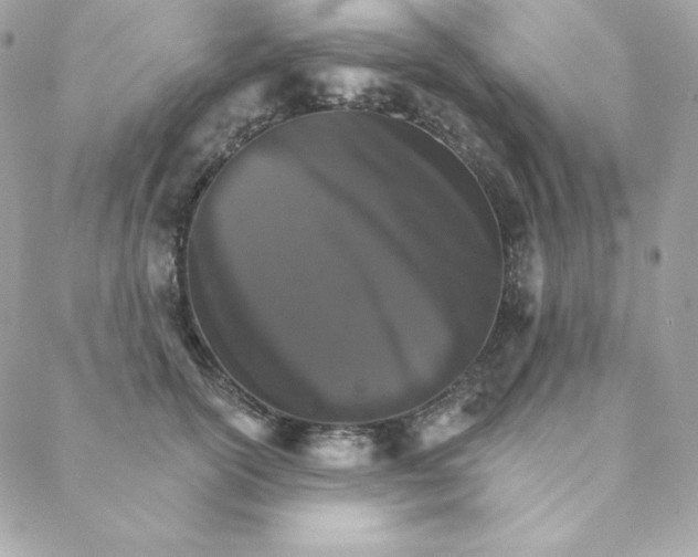 X0000088200754200706051231