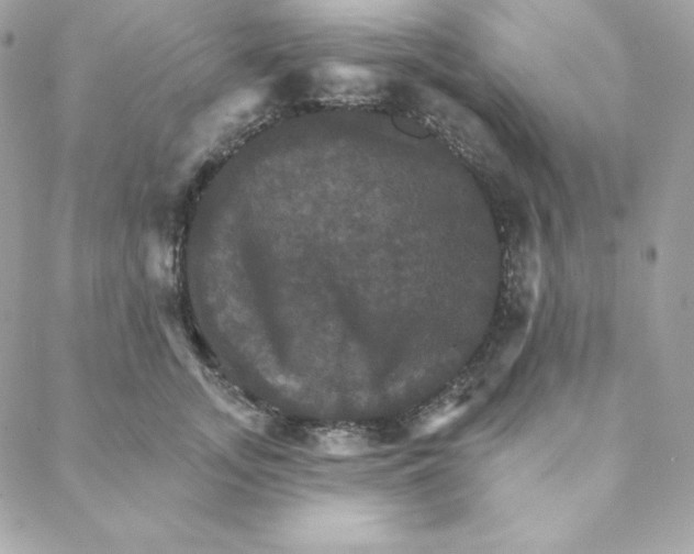 X0000088200755200706051231