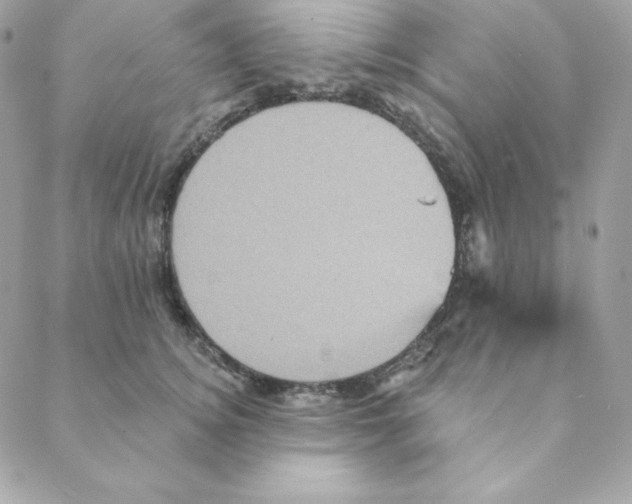 X0000088200756200706051231