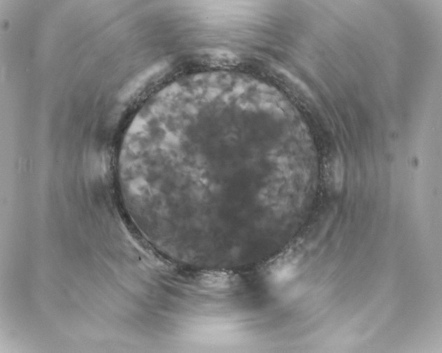 X0000088200757200706051231