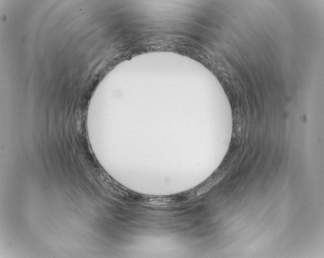 X0000088200758200706051231