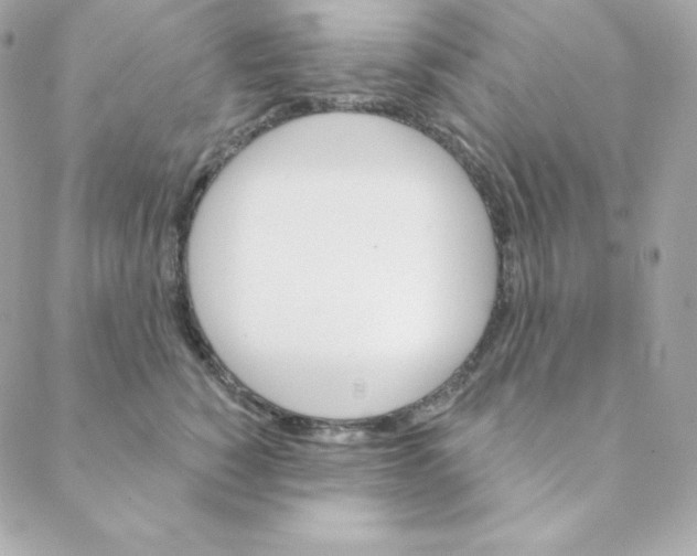 X0000088200760200706051231