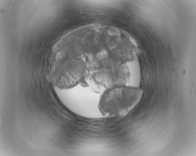 X0000088200761200706051232