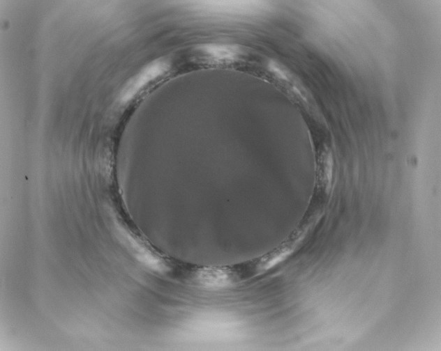 X0000088200762200706051232