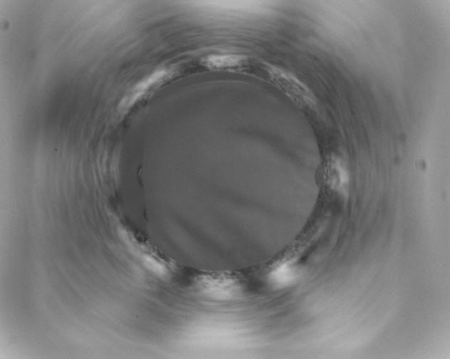 X0000088200763200706051232