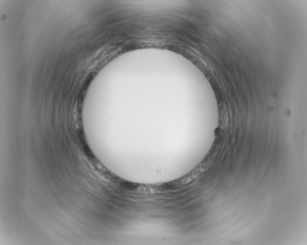 X0000088200764200706051232