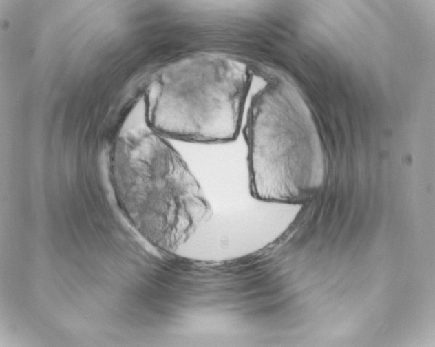 X0000088200765200706051232