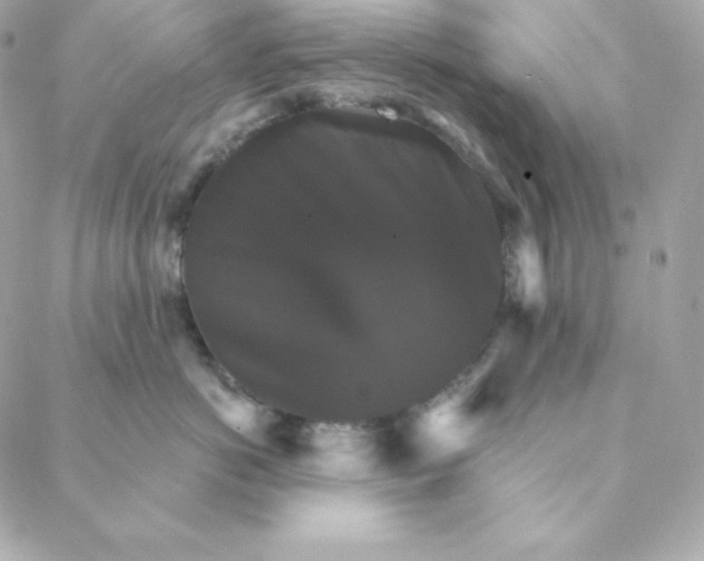 X0000088200766200706051232