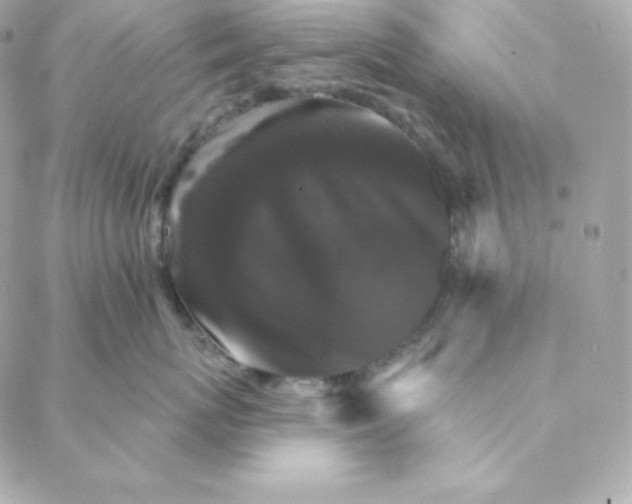 X0000088200767200706051232