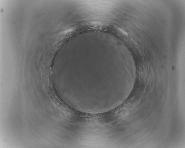 X0000088200769200706051231